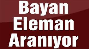 Ev İşleri - Bebek Bakımı Bayan Eleman